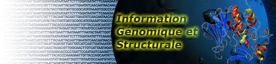 Information Genomique et Structurale